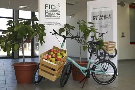 新零售的創(chuàng)新標桿 迪士尼休閑農(nóng)場超市與Eataly的開山之作