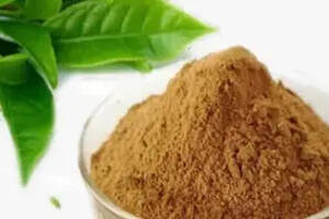 茶葉深加工 從傳統(tǒng)飲品到多元化產(chǎn)品的創(chuàng)新之旅